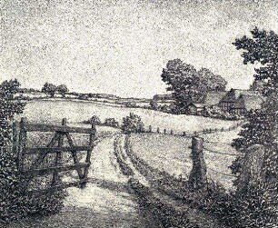 "Am Weg nach Schönhorst."