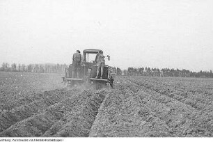 Landwirtschaft, Ackerbau, Ernte, Mohn, etc., 1967-1973
