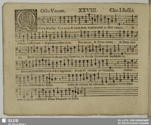 XXVIII. Quam dilecta tabernacula