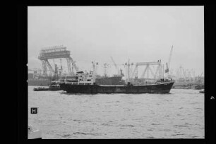 Susanne Reith (1958), Orion, Hamburg