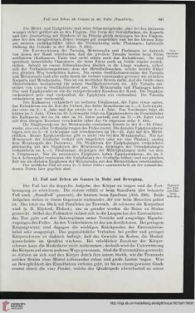 11: Fuß und Zehen als Ganzes in Ruhe und Bewegung