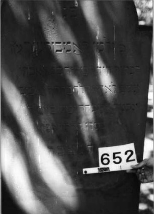 Grabstein 652 (Index: 99630154) Material: Sandstein Zustand: leicht verwittert Maße HxBxT: 167x64x8 cm Beschreibung: Stele mit eingezogenem Rundbogenabschluß: Grabstein 652 (Detailaufnahme)