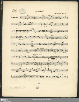 Contrabass
