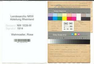 Entnazifizierung Rosa Wehmoeller , geb. 28.05.1889 ()