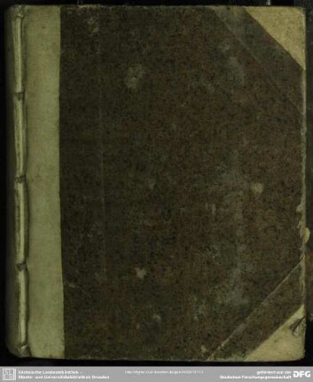 Almae Universitatis Erfordiensis Pro-Rector Et Facult. Iuridicae Decanus, Joannes Philippus Streit, J. U. D. Eminentissimi Principis Electoris Moguntini Consiliarius Regiminis L. B. S.