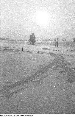 Winter, Landschaften, Max Hille beim Skilauf, beleuchteter Weihnachtsbaum, Januar-Februar 1956