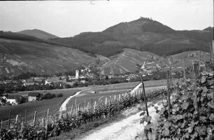 Neuweier: Blick vom Weinberg auf Ort und Yburg, von höher