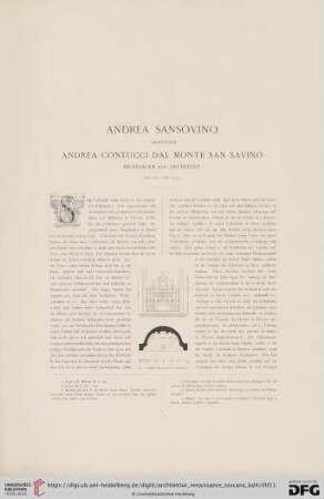 Andrea Sansovino, eigentlich Andrea Contucci dal Monte San Savino, Bildhauer und Architekt
