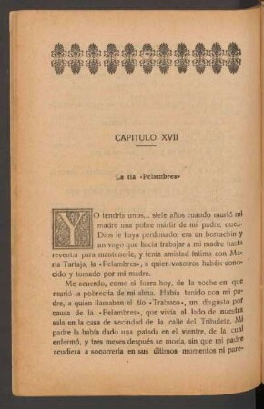 [Capítulo LXIV] - La tía "Pelambres"