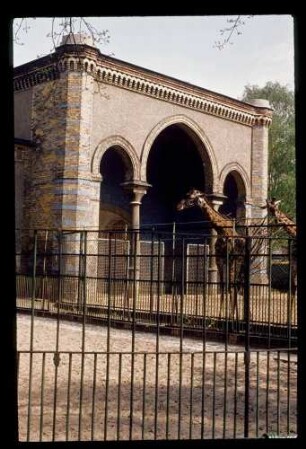 Antilopen-Haus 5.5.77.