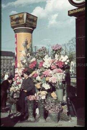 Blumenfrau am Potsdamer Platz