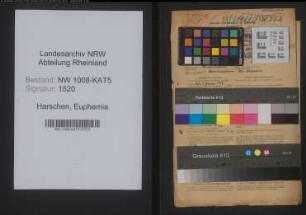 Entnazifizierung Euphemia Harschen , geb. 02.11.1903 (Lehrerin)