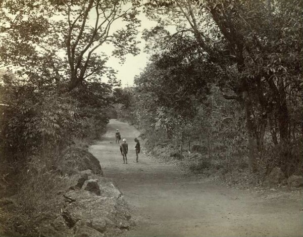 Sur la route près de Chouk