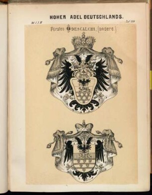 Taf. 229. Fürsten Odescalchi, (andere.)