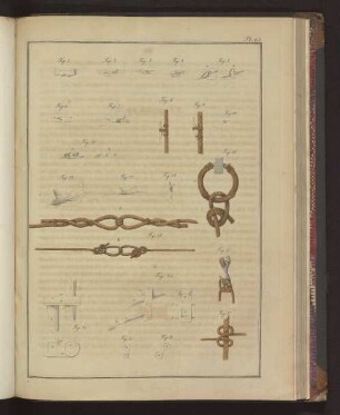 Pl. 65. Fig. 1. bis Fig. 20., Fig. A. und Fig. B.