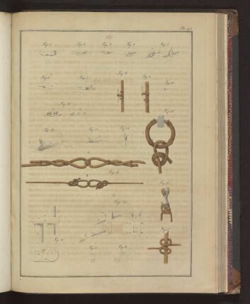 Pl. 65. Fig. 1. bis Fig. 20., Fig. A. und Fig. B.
