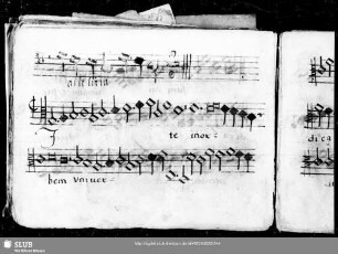 Wilhelm Breitengraser: Ite in orbem universum