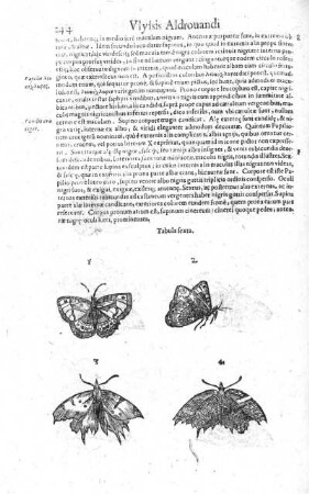 Tabula sexta