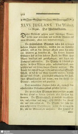 XLVI. Iuglans. The Walnut. Le Noyer. Der Wallnußbaum