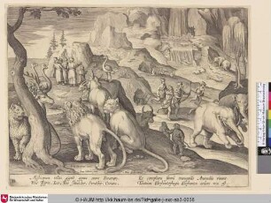 [Tiere aus Äthiopien und eine Elefantenjagd; Animals from Ethiopia and an elephant hunt]