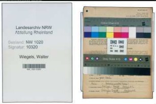 Entnazifizierung Walter Wiegels , geb. 11.05.1908 (Tierarzt)