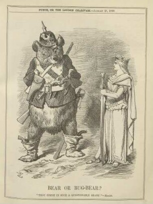 Bear or bug-bear?
