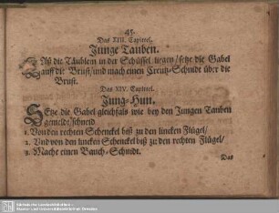 Das XIV. Capitel. Jung-Hun