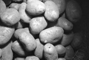 Empfehlung für derzeit preisgünstige Kartoffeln in der Reihe "Tips der Verbraucherberatung"