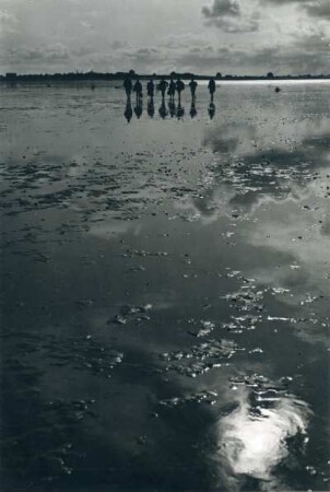 Wandergruppe im Watt