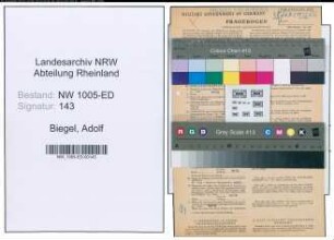 Entnazifizierung Adolf Biegel , geb. 06.10.1912 (Schildermaler)