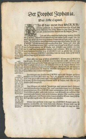 Der Prophet Zephanja.
