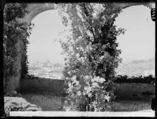 Granada: Blick von Genelarife auf Stadt 31