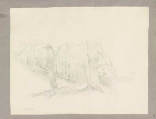 Klebebände, Band 20, Seite 121