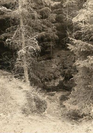 Burgwall auf dem Schmoritz : Oberlausitz. Burgwall auf dem Schmoritz (obersorbisch Žmórc oder Šmórc) südlich von Bautzen. Zisterne von Norden