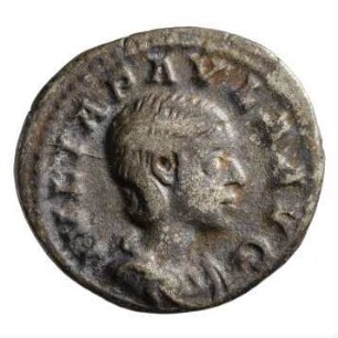 Münze, Denar, 219 - 220 n. Chr.