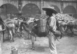 Marktplatz : Mann mit Eseln auf dem Markt in Oaxaca de Juárez
