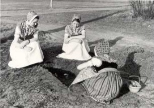 Frühlingsbrauch in Trebendorf : Gesellschaftliche Volkskultur - Frühling. Ort: Trjebin / Trebendorf. Beim Waleien. gestelltes Foto