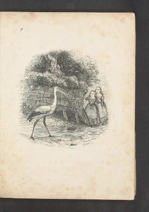 Tafel: [Der Storch.]