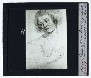 Rubens, Studie des Kopfs der Hl. Apollonia (unidentifiziert) : Zeichnung