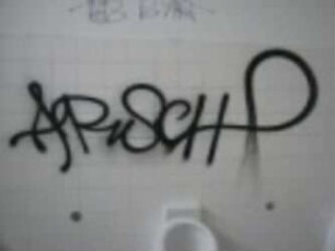 ARSCH