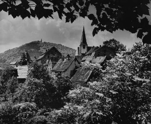 Archivfotografie "neckar_neckarsteinach_3328"
