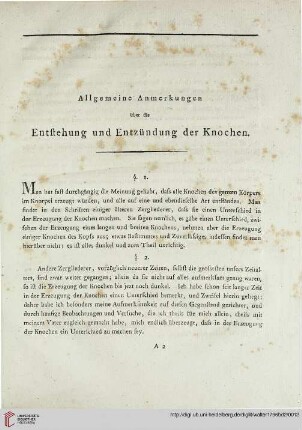 Allgemeine Anmerkungen übr die Entstehung und Entzündung der Knochen