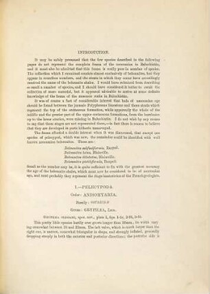 The Jurassic Fauna of Baluchistán and N.-W. Frontier of India, 2