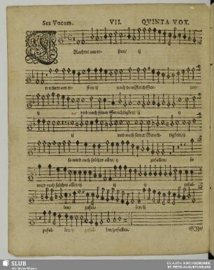 VII. Trachtet am ersten