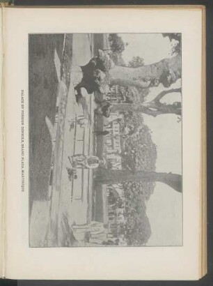 Palace of Foreign Consuls, Grand Plaza, Martinique - [Photograph]