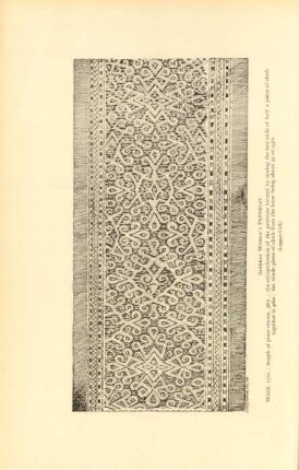 Sarebas woman's petticoat