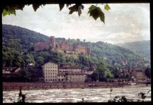 Blick zum Heidelberger Schloss