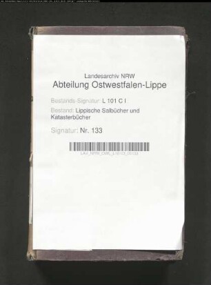 Salbuch der ehem. Vogtei Heiden von 1855, Bd. 2
