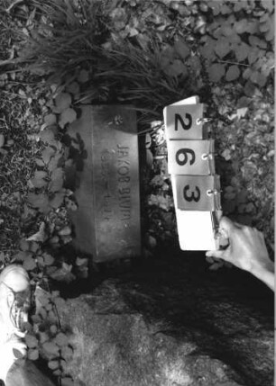 Grabstein 263 [Hahn S. 47 Grab-Nr. 185]