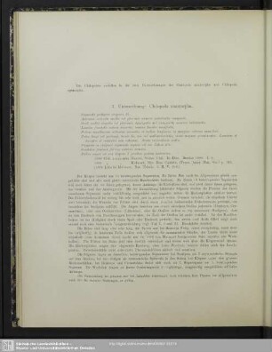 1. Unterordnung: Chilopoda anamorpha